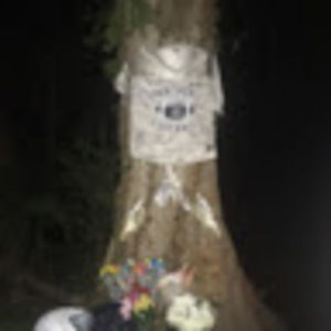 Meet your Posher, Lola